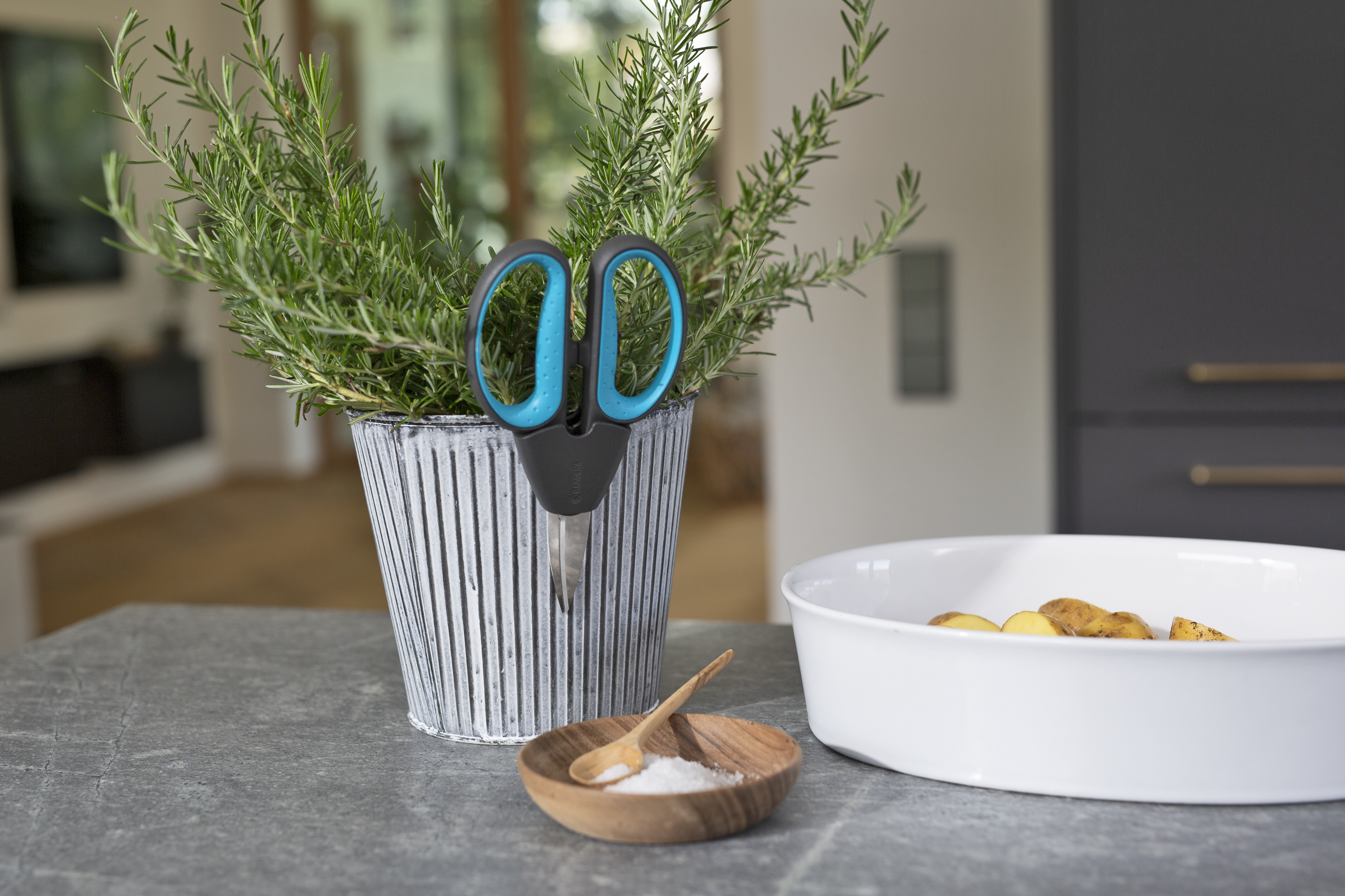 HerbCut Fűszern&ouml;v&eacute;ny oll&oacute; k&eacute;szlet