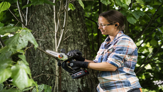 Aspire Pruner P8X