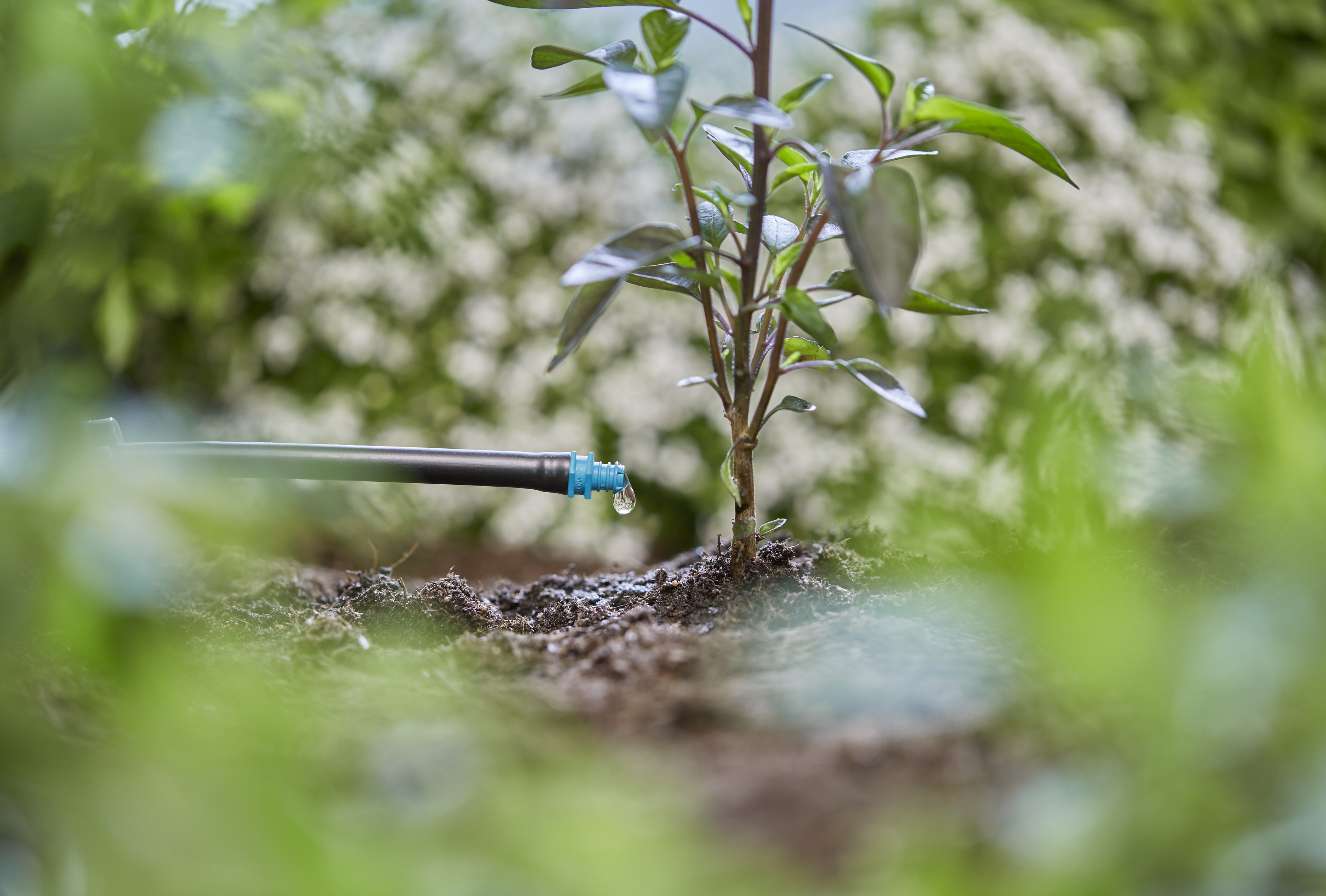 Končni kapljalnik 2 l/h