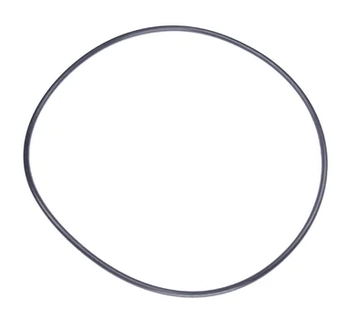 O-Ring 125x3