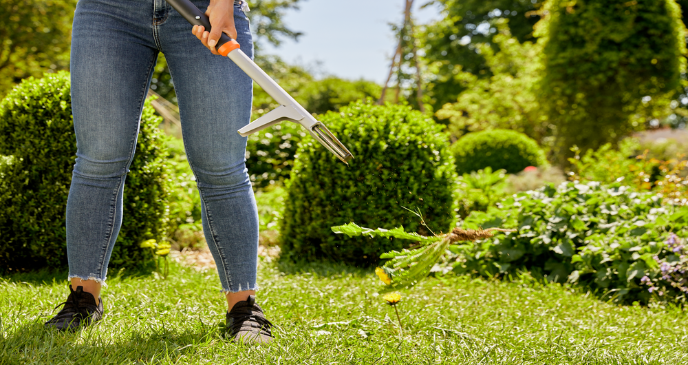 Weed Puller