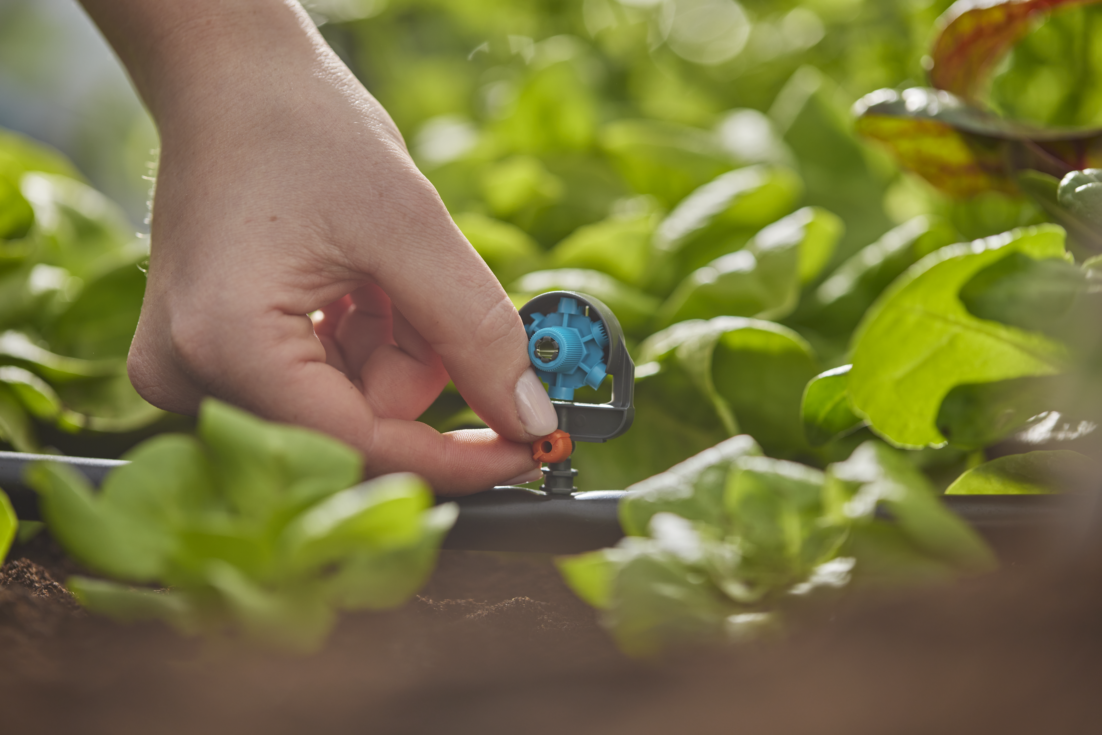 Microspruzzo 6 in 1 a settori regolabili