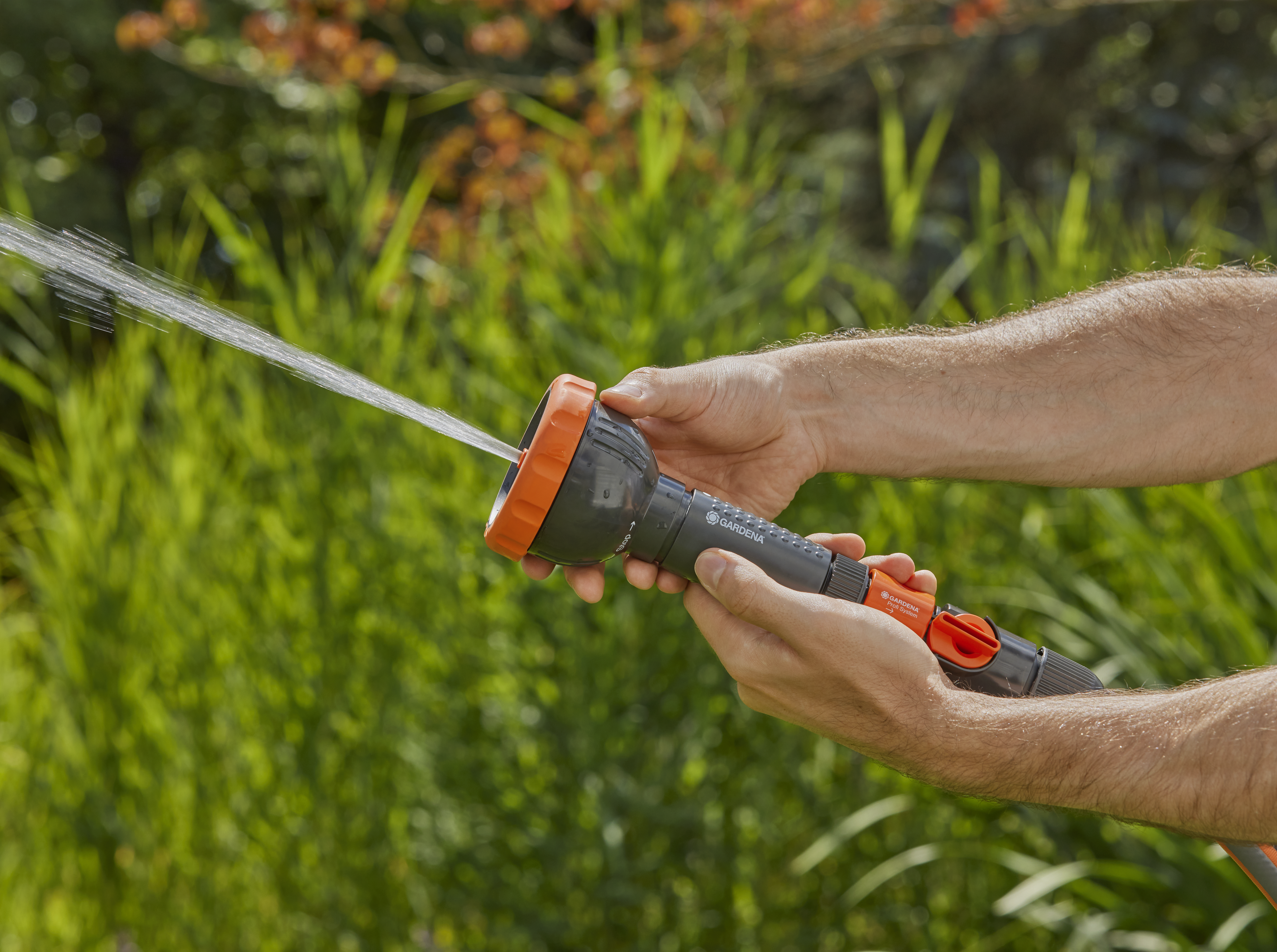 &Alpha;&Kappa;&Rho;&Omicron;&Phi;&Upsilon;&Sigma;&Iota;&Omicron; &Sigma;&Iota;&Tau;&Alpha; PROFI