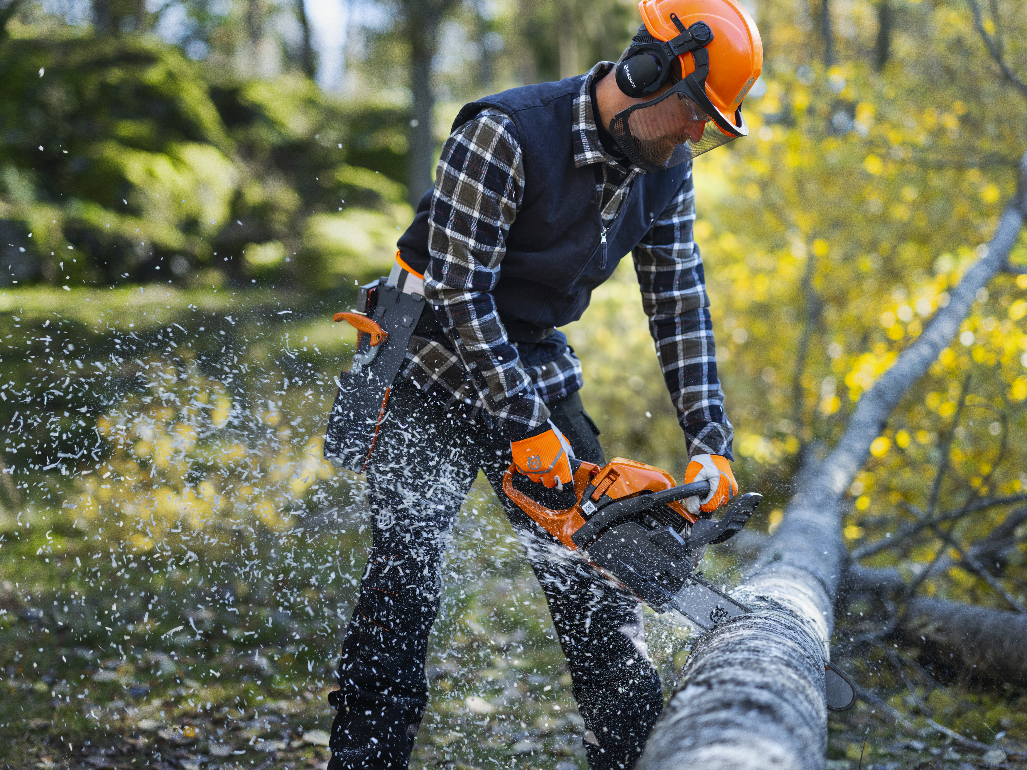 Husqvarna 445S — fotografie 2