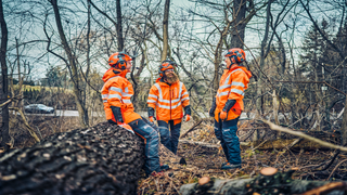 Moottorisahan onnellinen arboristitiimi