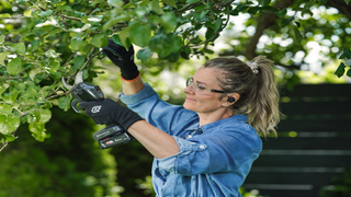 Aspire Secateur PS30X handheld