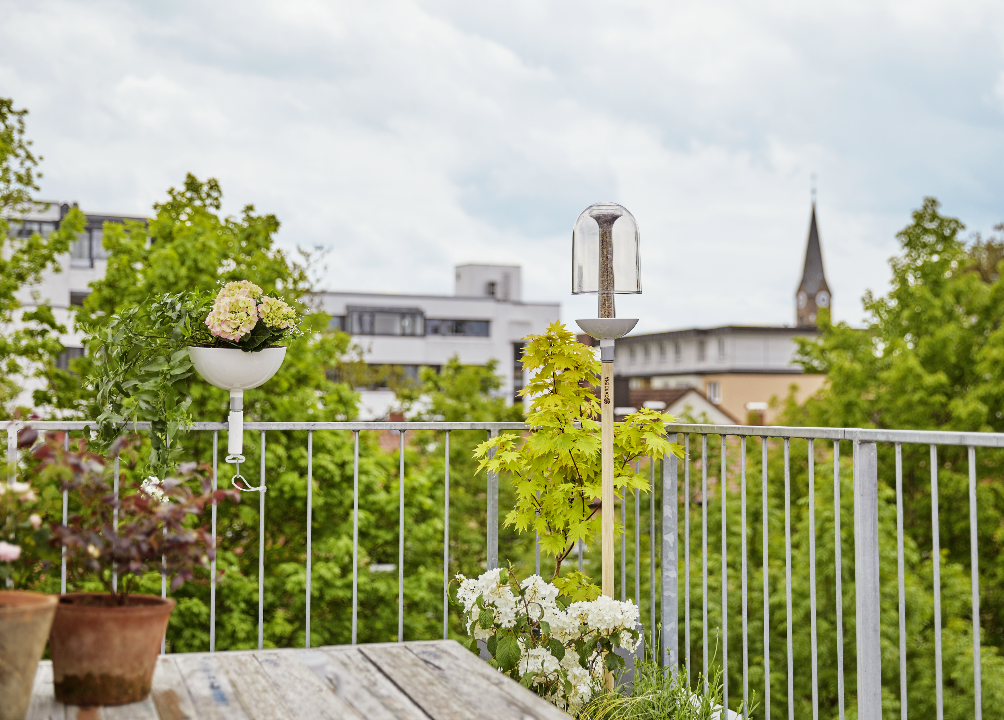 ClickUp!krm&iacute;tko pro pt&aacute;ky