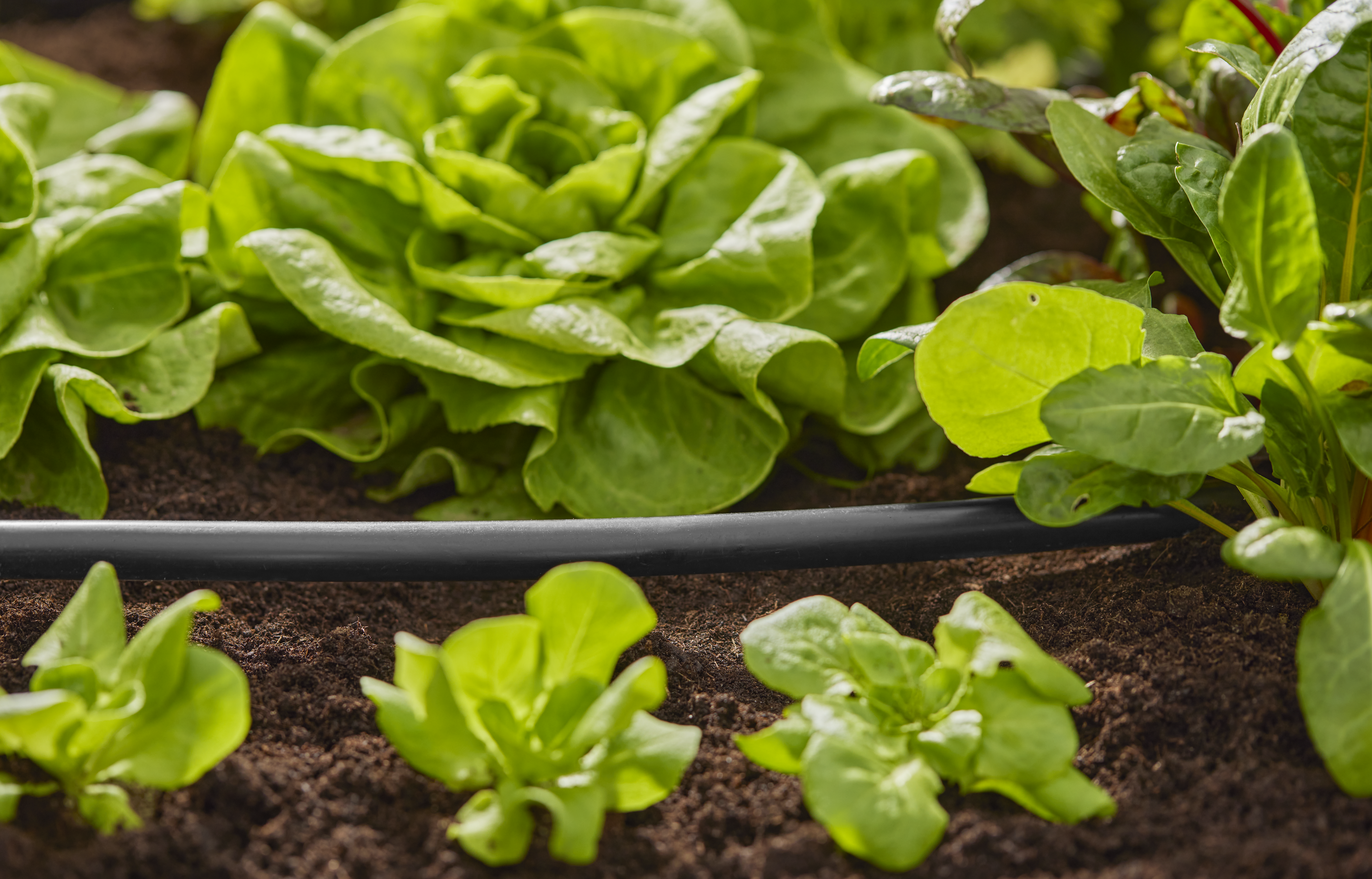 Tuyau pour arrosage goutte-&agrave;-goutte 13 mm (1/2") - 50 m