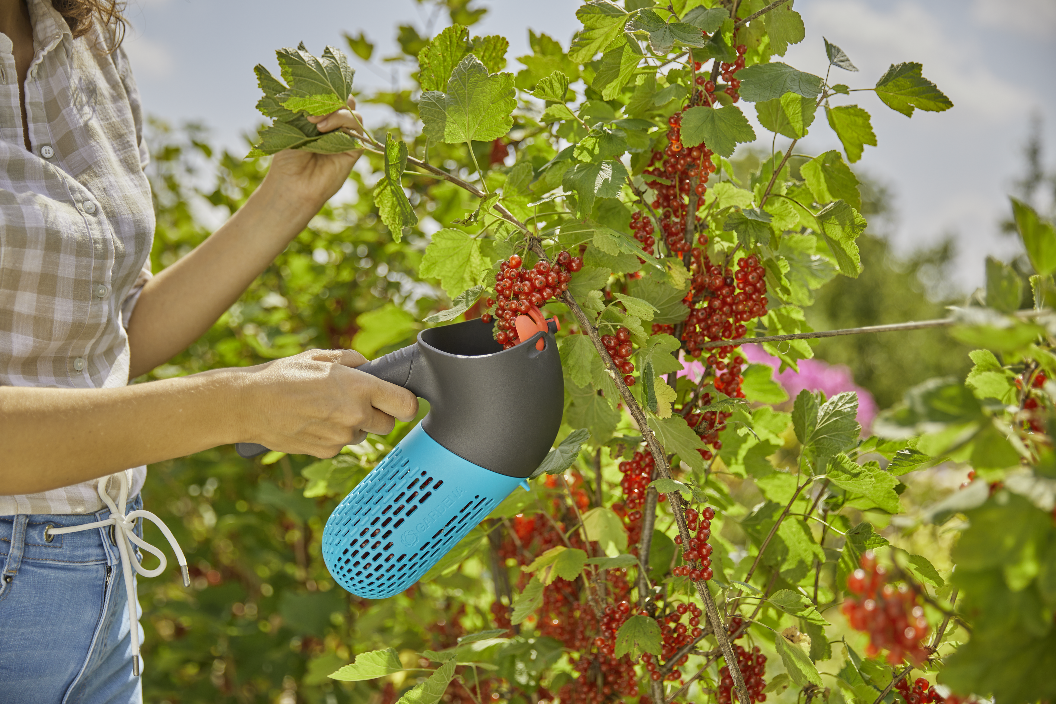 combisystem Berry Picker