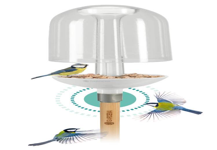 ClickUp! BirdFeeder