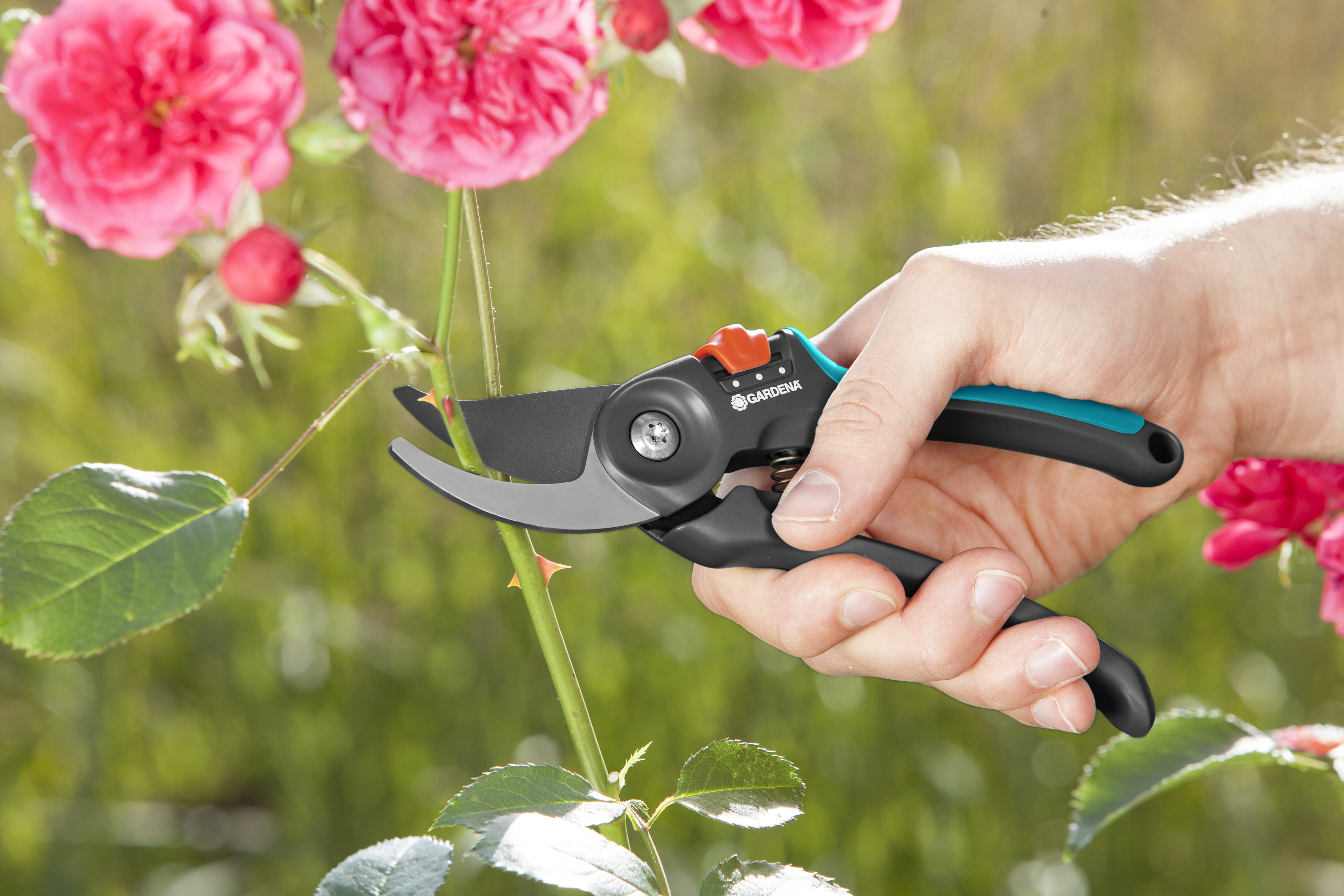 Garden Secateurs B/S-M