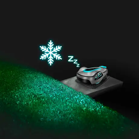 Frost