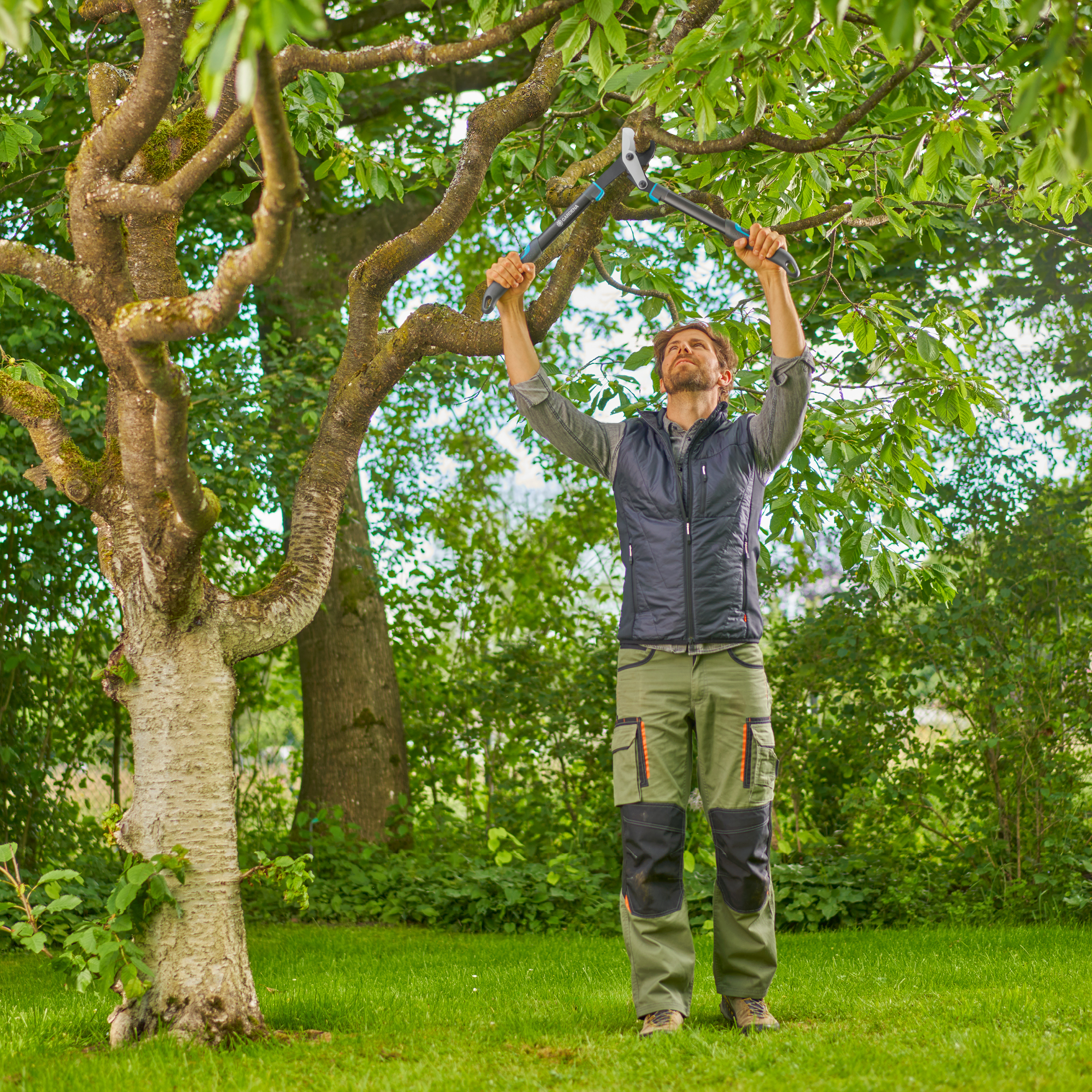 Takkenschaar EnergyCut Pro S, Bypass Cut, voor groen hout