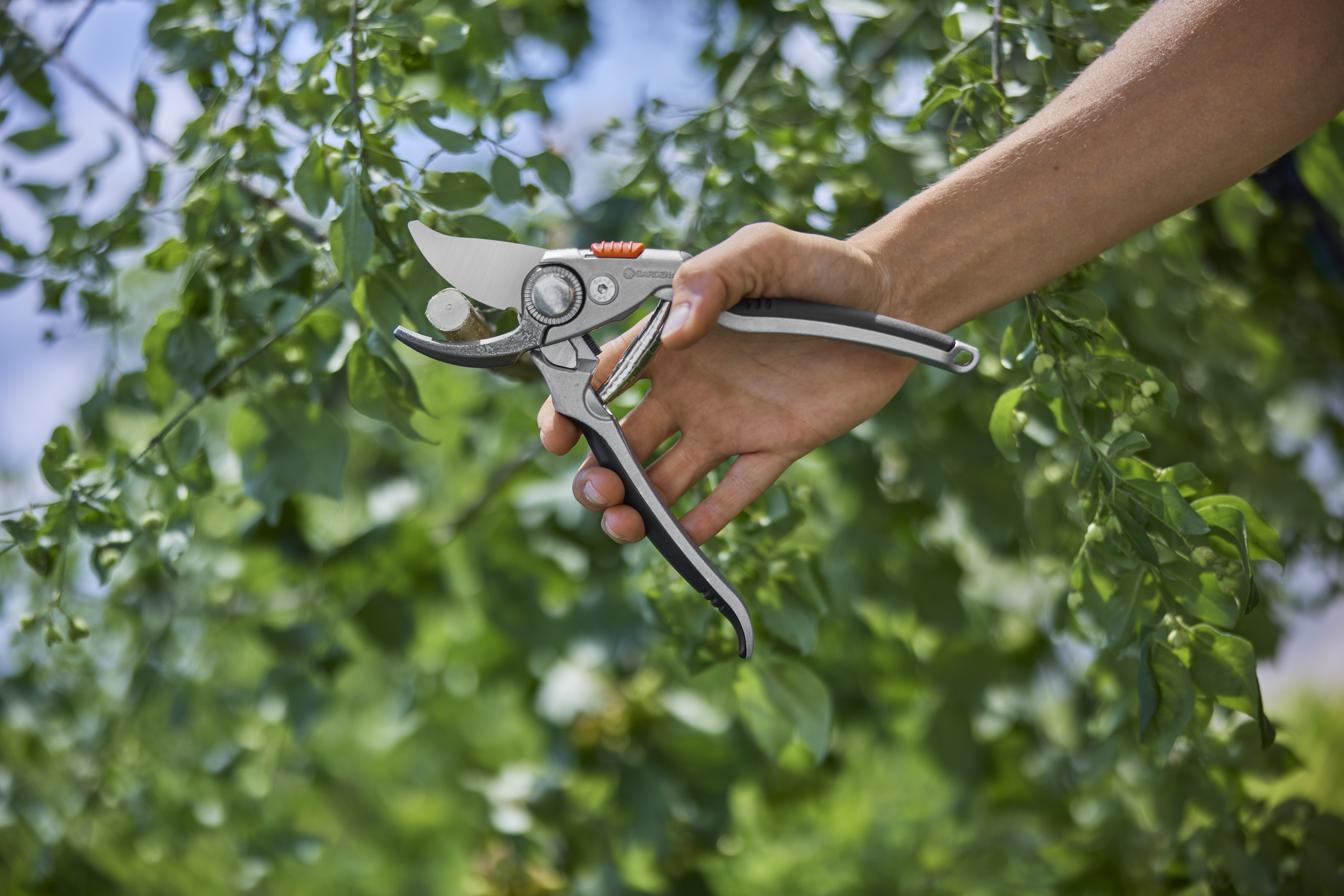 Zahradn&iacute; nůžky BP 50