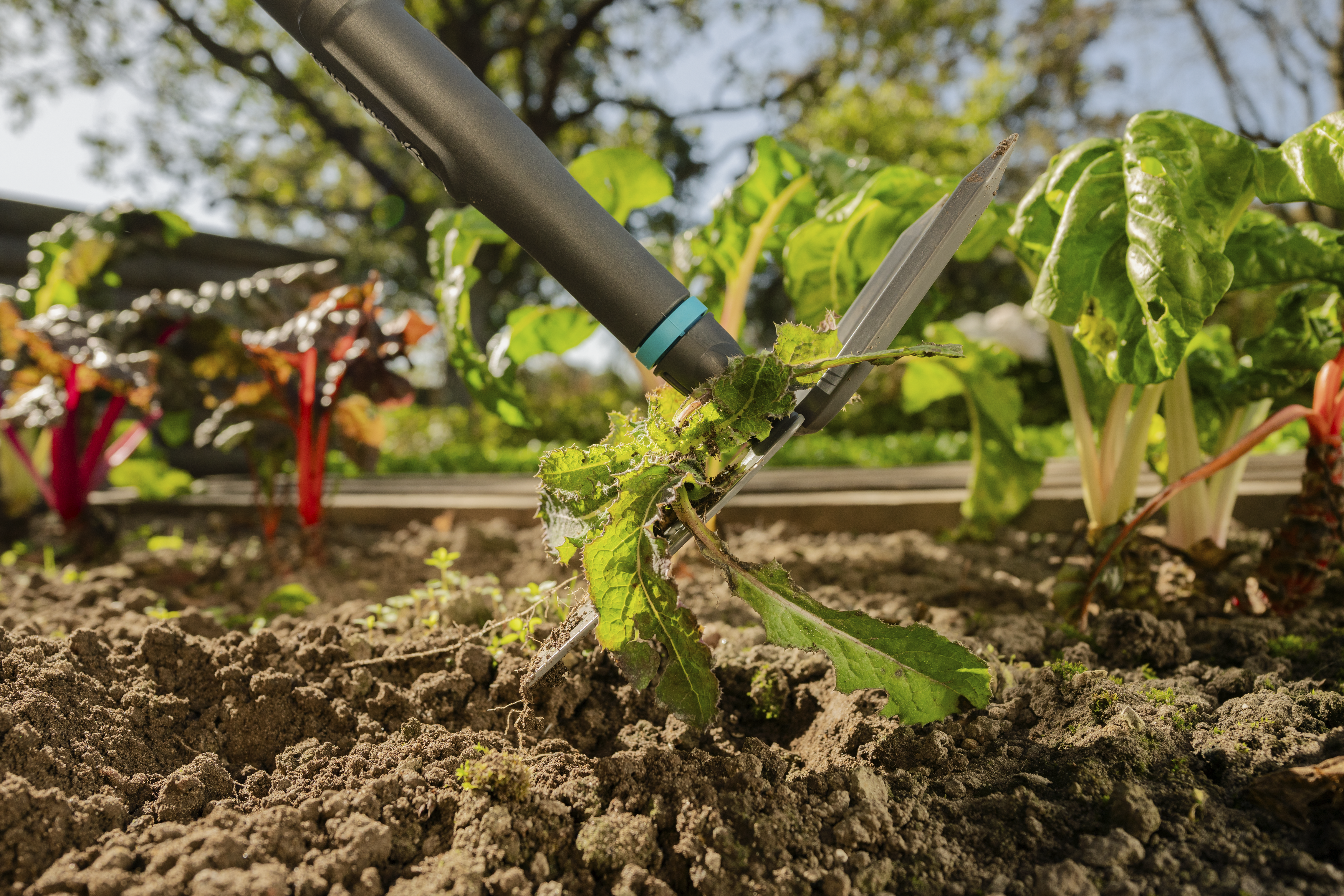 PureLine &ndash; motyczka sercowa, Narzędzia ogrodowe