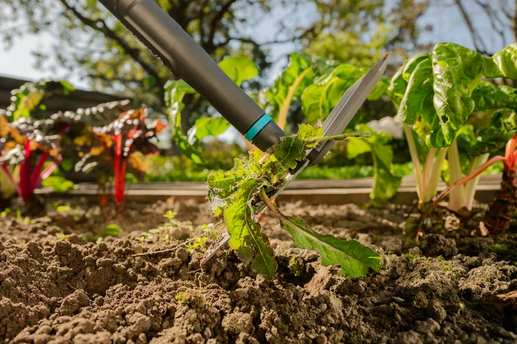 PureLine – motyczka sercowa, Narzędzia ogrodowe