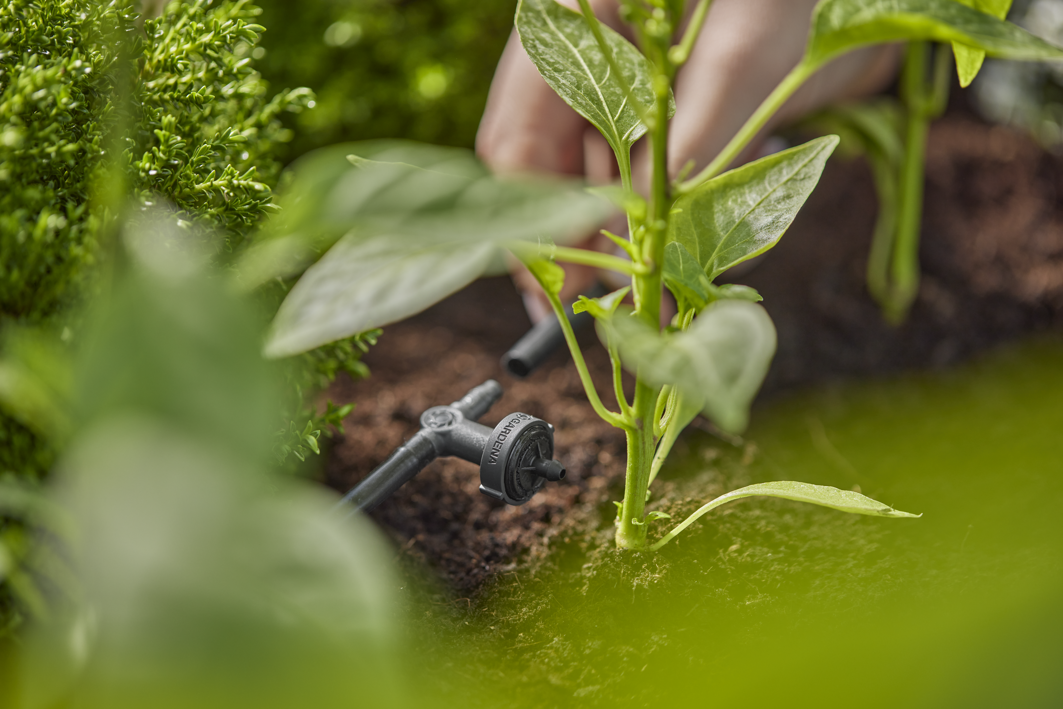 Radov&yacute; kvapkač 2 l/h vyrovn&aacute;vaj&uacute;ci tlak