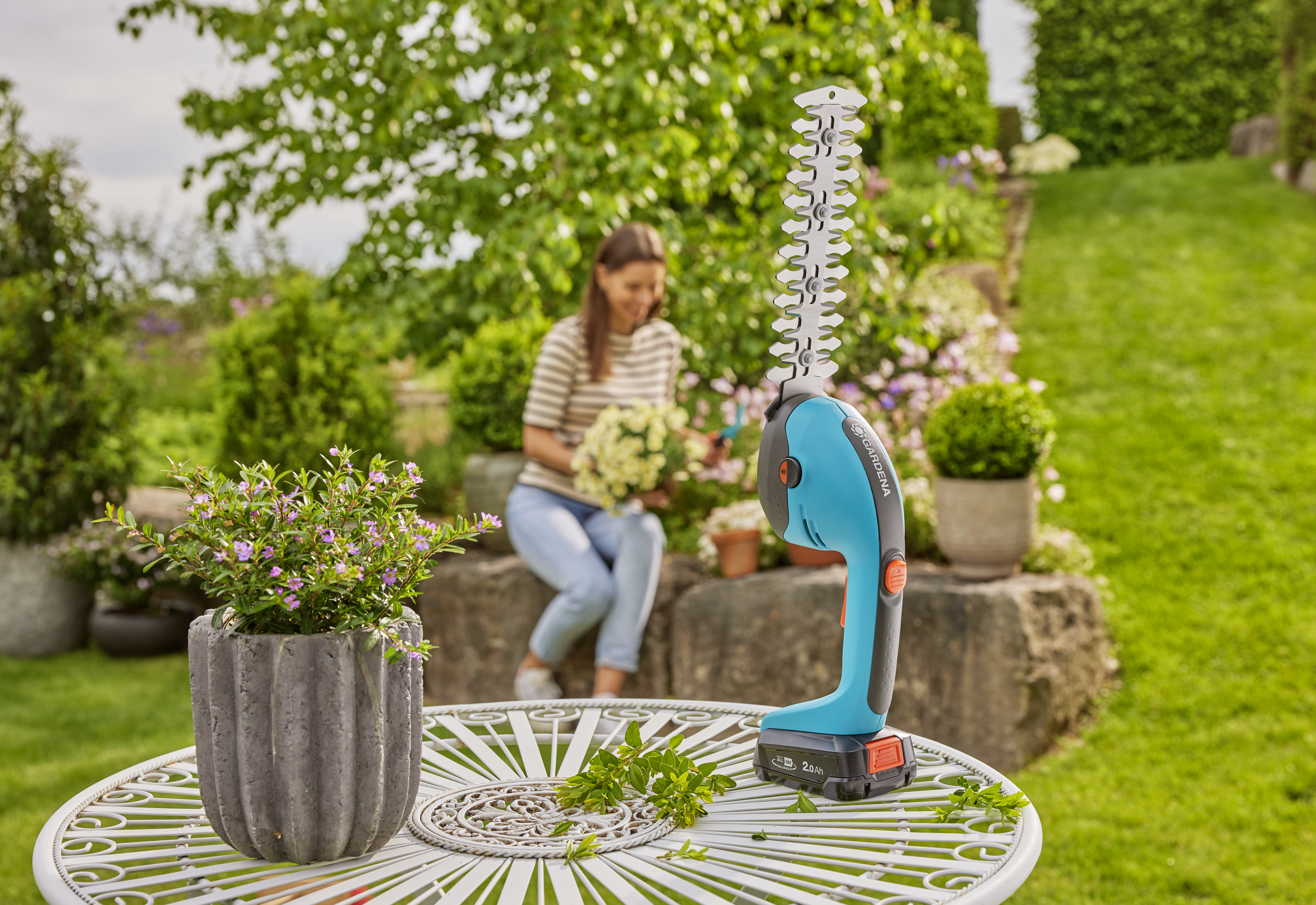 Akku-Gras- und Strauchschere PowerCut 20/18V P4A Solo