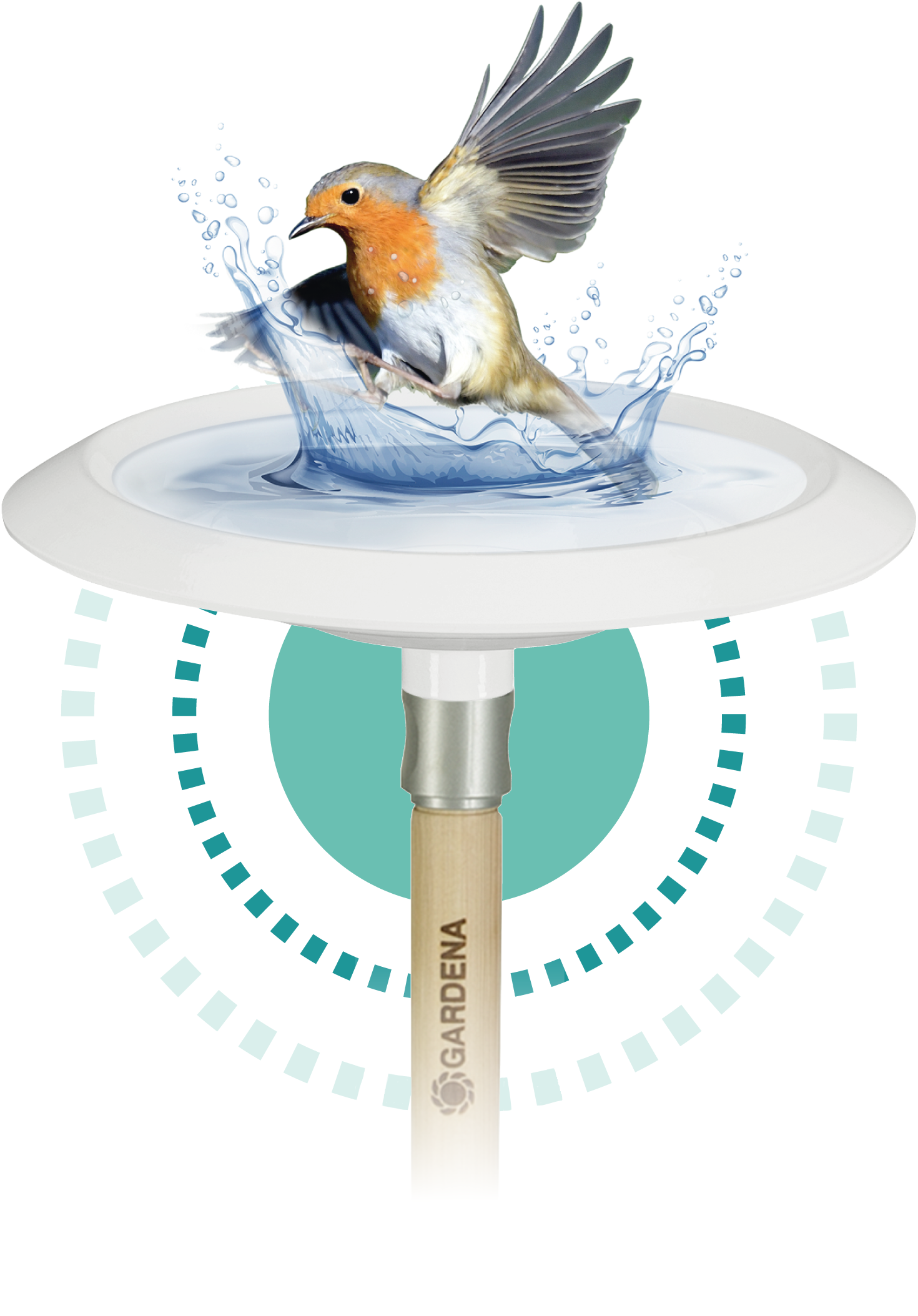 ClickUp! Ptičja kopel