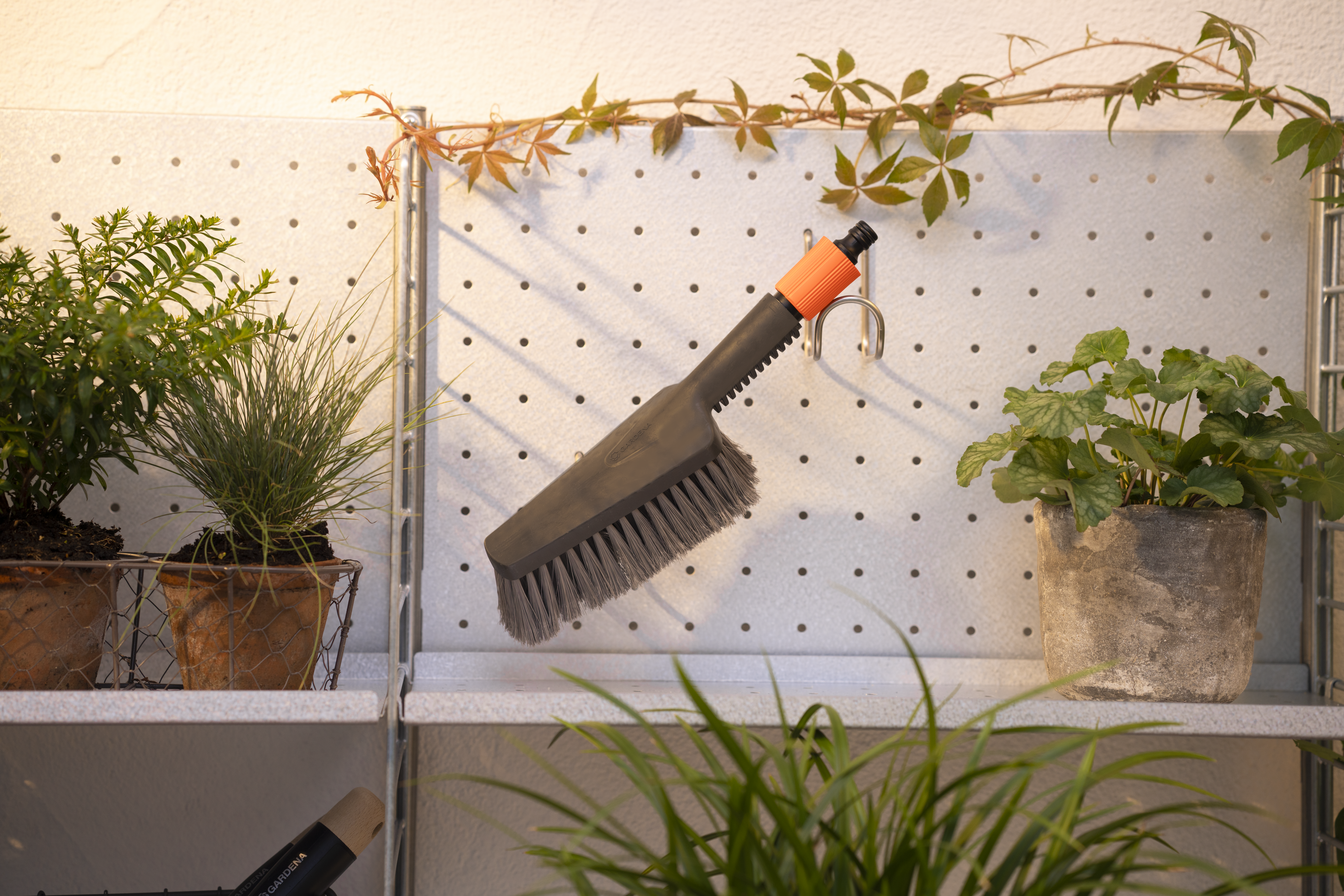 Cleansystem Set za pranje s ručnom četkom i &scaron;ampon