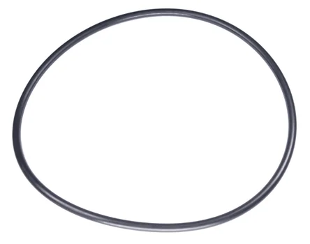 O-Ring 160x5,5