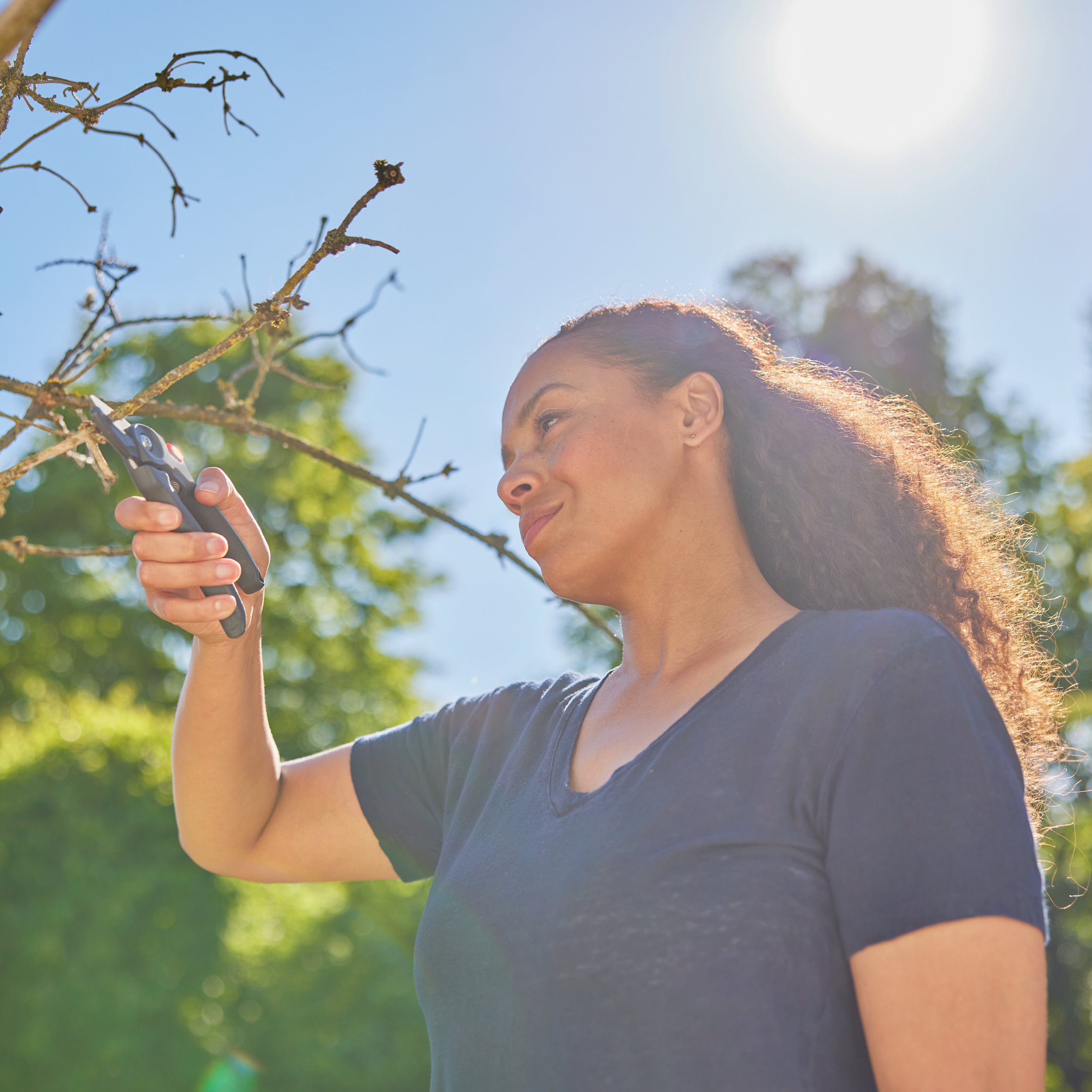 Secateurs PremiumCut Dry Wood, Anvil Cut, 20 mm cutting diameter