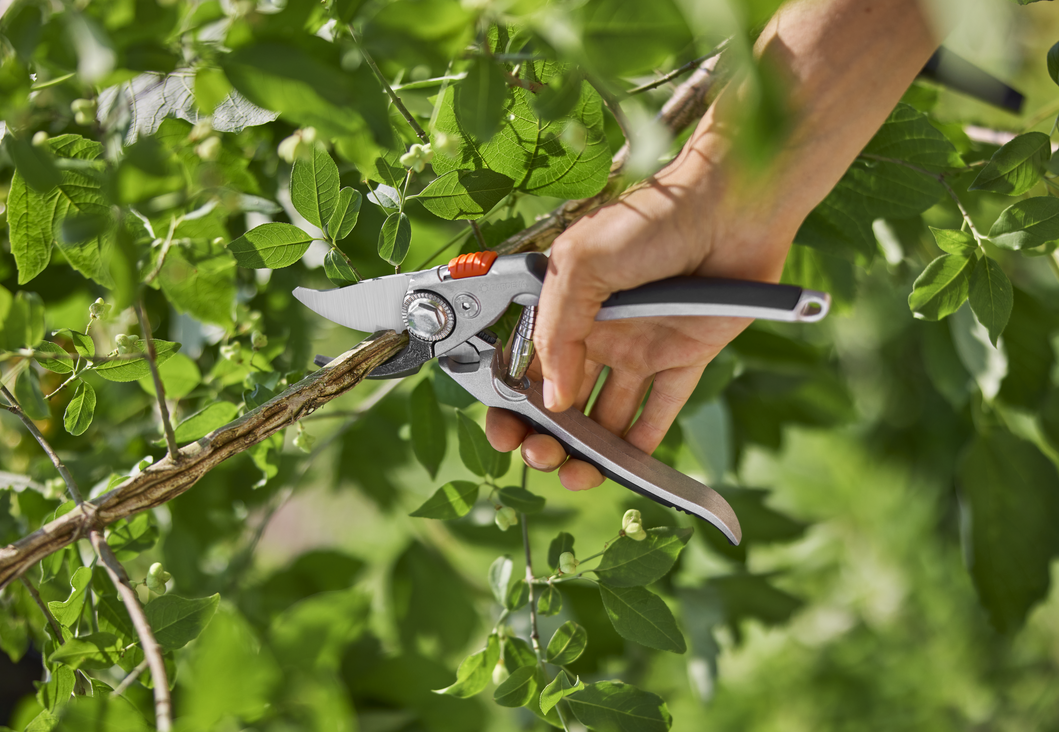 Zahradn&iacute; nůžky BP 50