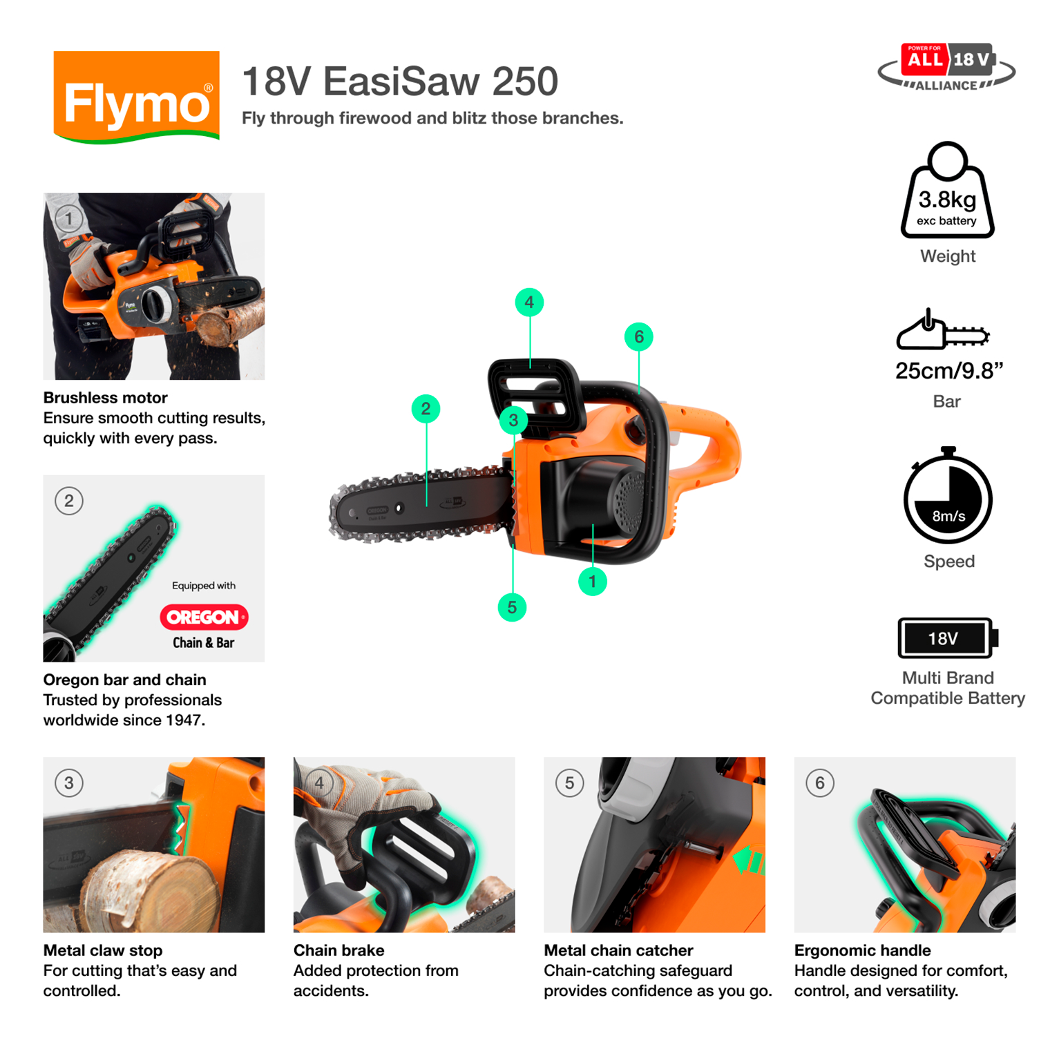 18V EasiSaw 250 (Solo - without Battery and charger)