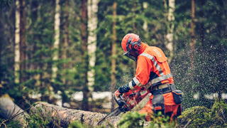 Moottorisaha 560 XP Mark II Logger Poikkileikkaus