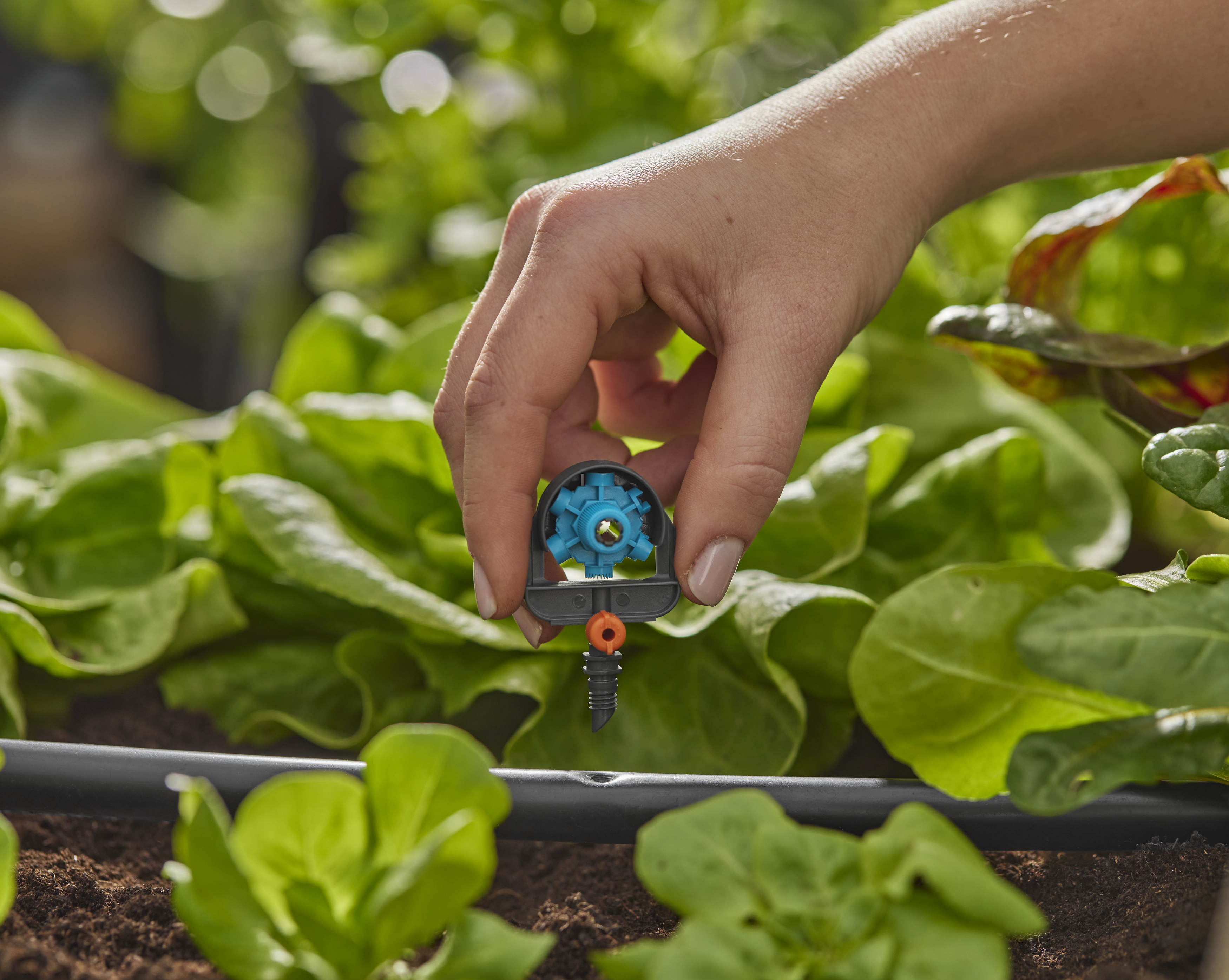 Microspruzzo 6 in 1 a settori regolabili