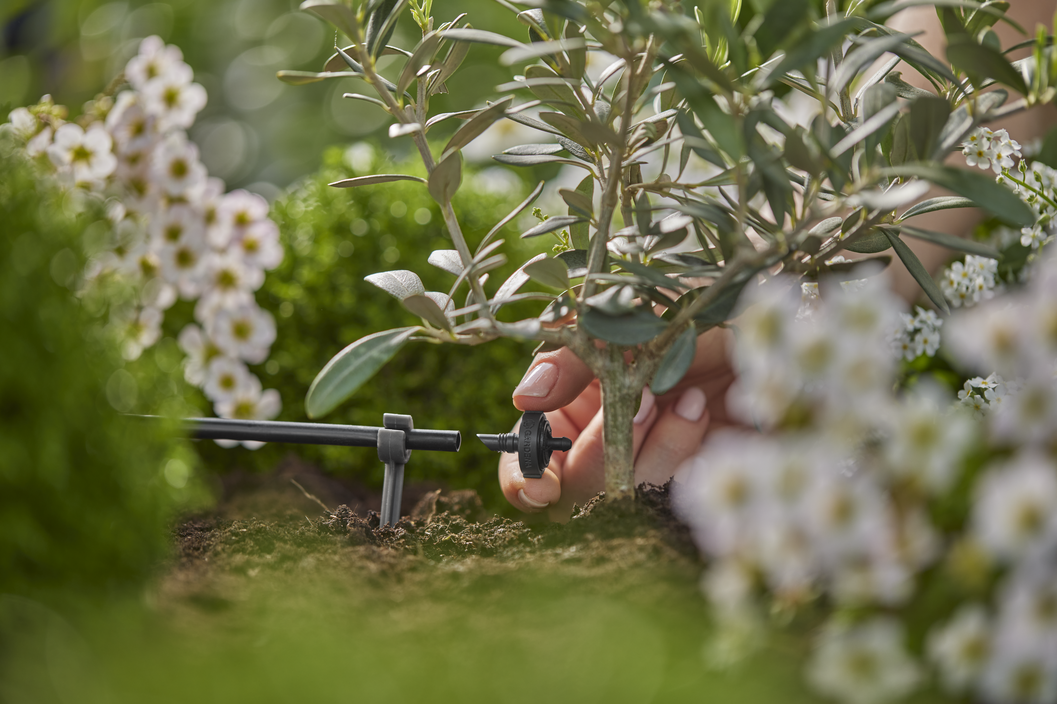 Endline la&scaron;inimo galvutė 2 l/h, reguliuojamas slėgis