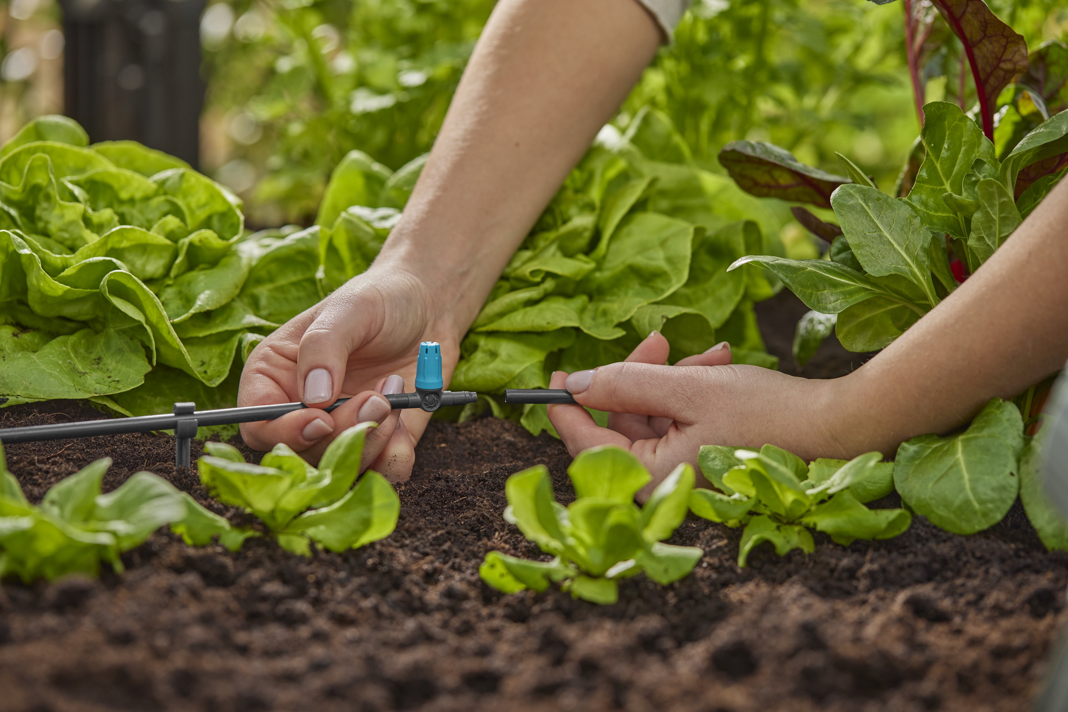 Small Area Spray Nozzle