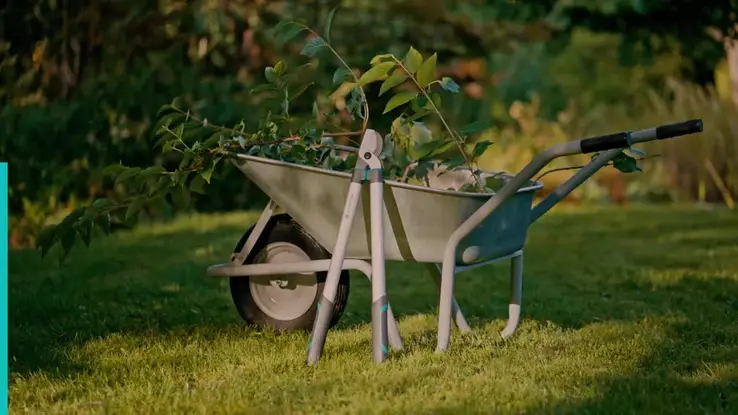 12031 EasyCutL-FV-2025-FR