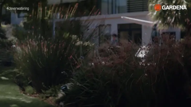 18241-20-How to-2020-PT