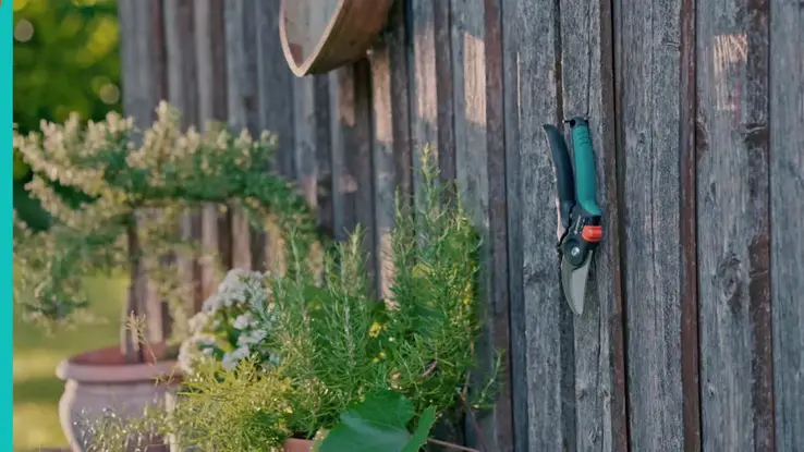 12242 PremiumCutFlex-FV-2025-FR