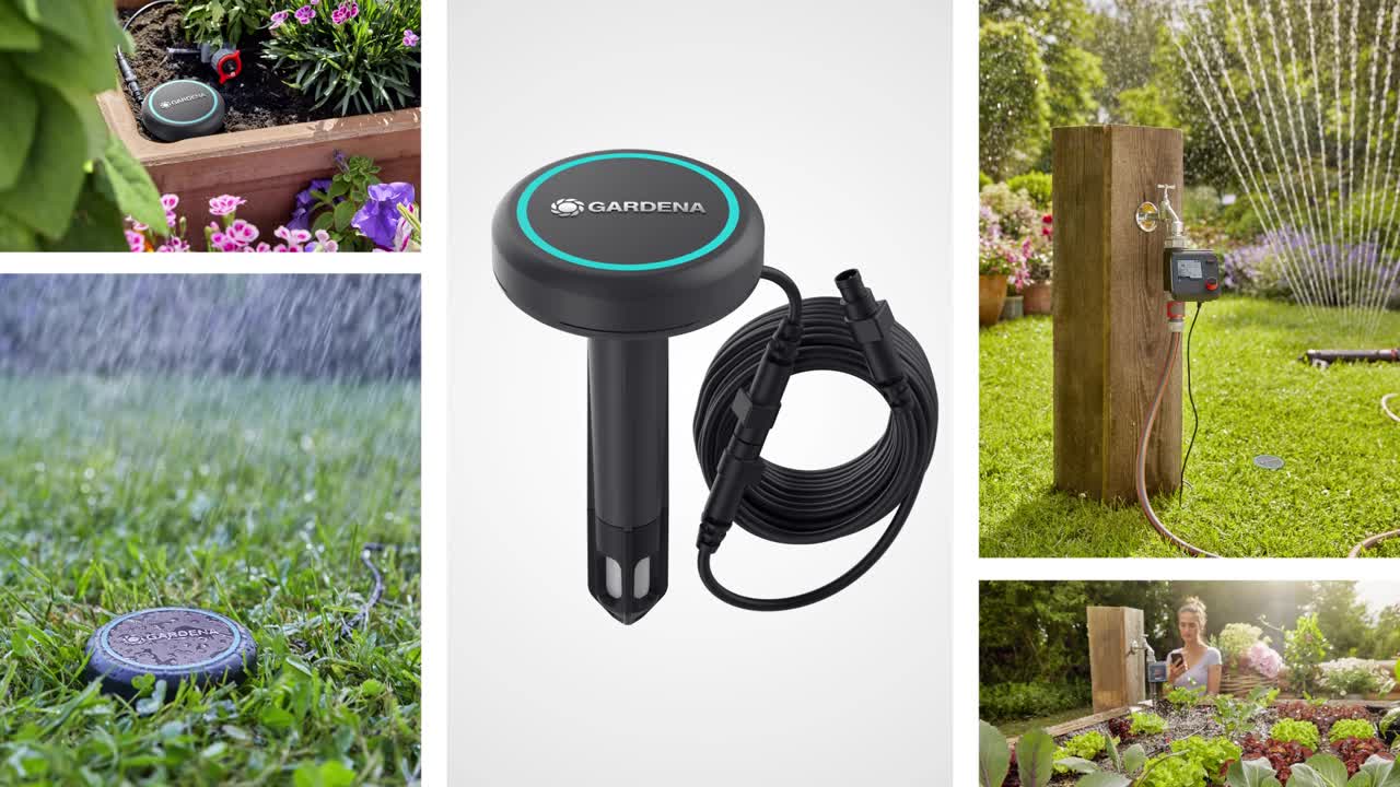 01867-20-How to-2021-EN