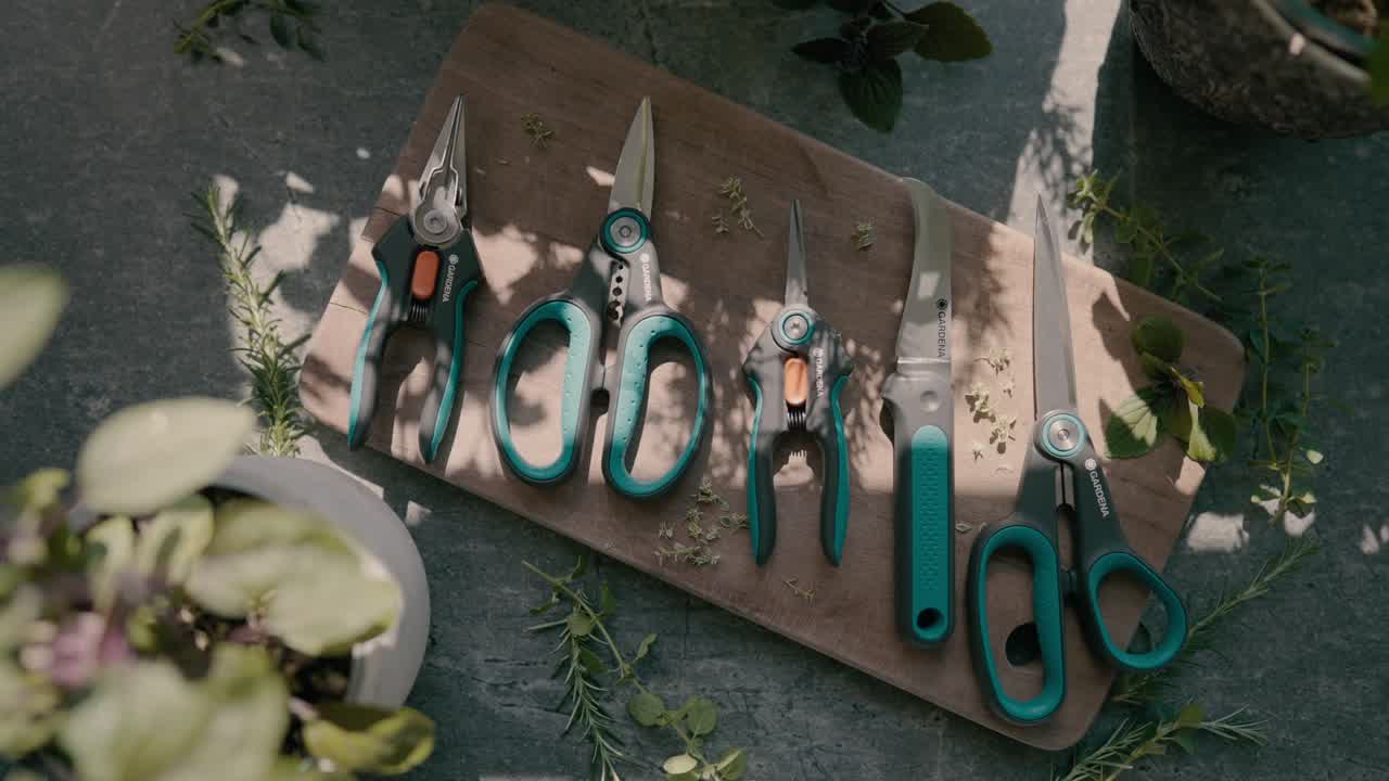 MicroCutting 12215-B-2023-FR