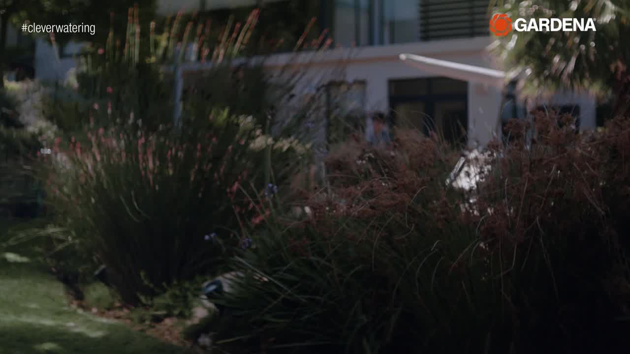 02801-20-How to-2020-NO