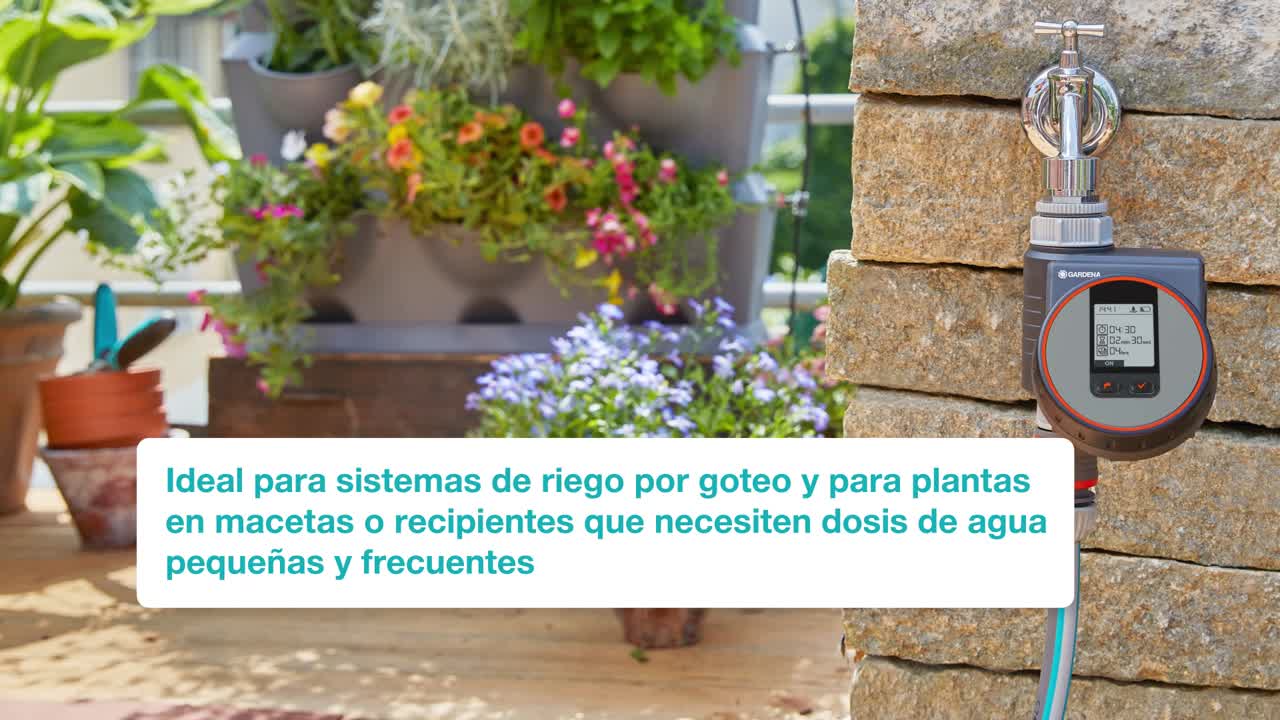 01890-20-How to-2021-ES