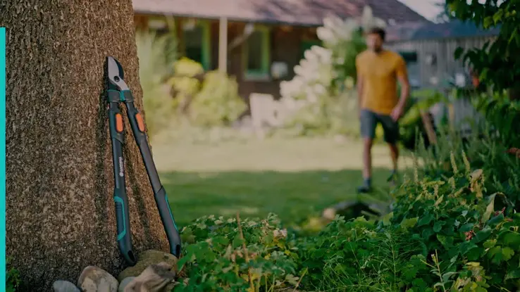 12041 TeleCutProL-FV MASTER-2025-EN