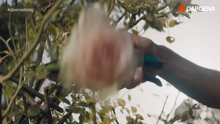 Water Distributor Automatic-How to-2021-ES