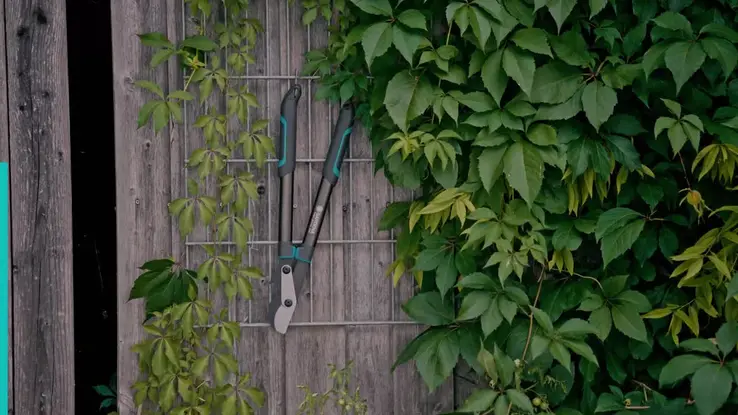 12050 EnergyCutProS-FV-2025-FR