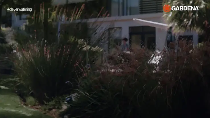 02819-20-How to-2020-NL