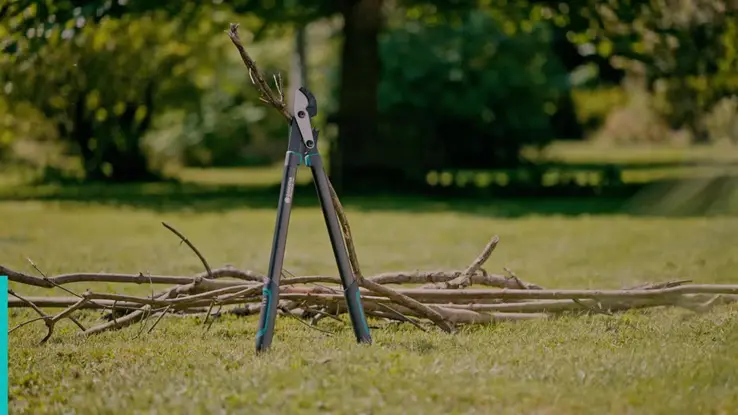 12052 EnergyCutProLAnvil-FV-2025-FR